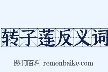 转子莲反义词是什么意思的图片